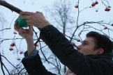 Делаем кормушки для птиц Делаем кормушки для птиц