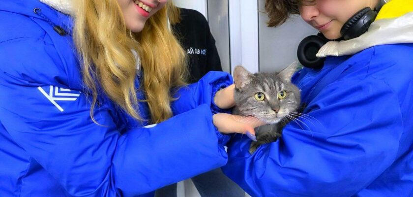 Волонтёры из «На связи с добром» с радостью посетили приют Юна, чтобы пообщаться с его пушистыми обитателями.